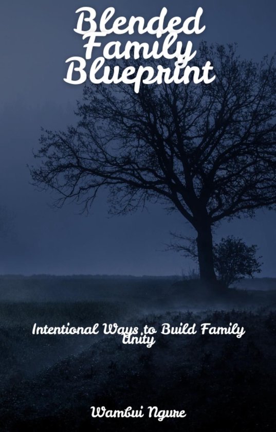Blended Family Blueprint