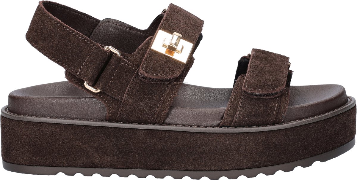 Steve Madden Bigmona Sandalen Dames Bruin