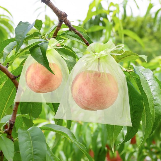 100 stuks - Fruitbeschermingszakken - 20 x 30 cm - Organza Zakjes - Fruithoezen - Herbruikbare fruitnetzakken - Fruitgroen - Met trekkoord - Druivenbeschermingszak - Ongediertebarrière - Voor planten, fruitbloemen, groenten, Snoep, Sieraden en Gift