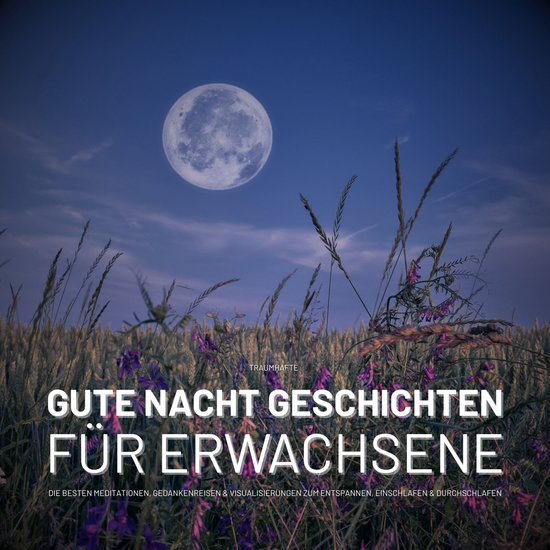 Traumhafte Gute Nacht Geschichten für Erwachsene - cover