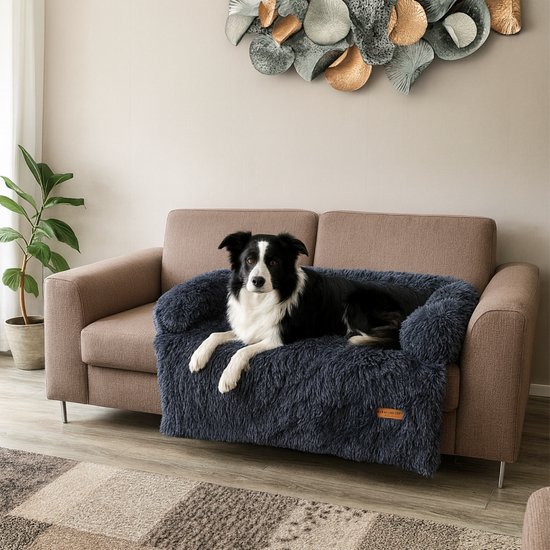 Zwarte en witte Border Collie hond ligt op een donkergrijs, fluffy hondenkleed op een bank.