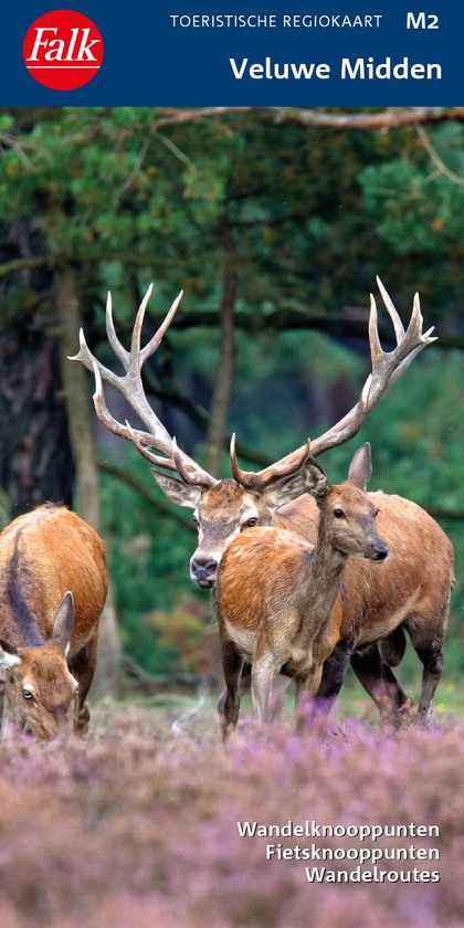 Falk wandelkaart - Veluwe Midden