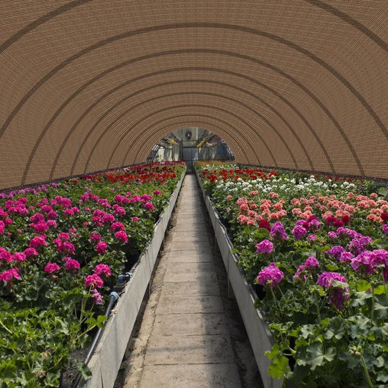 vidaXL Zonnescherm HDPE rechthoek 2x4 m wit - Leen Bakker