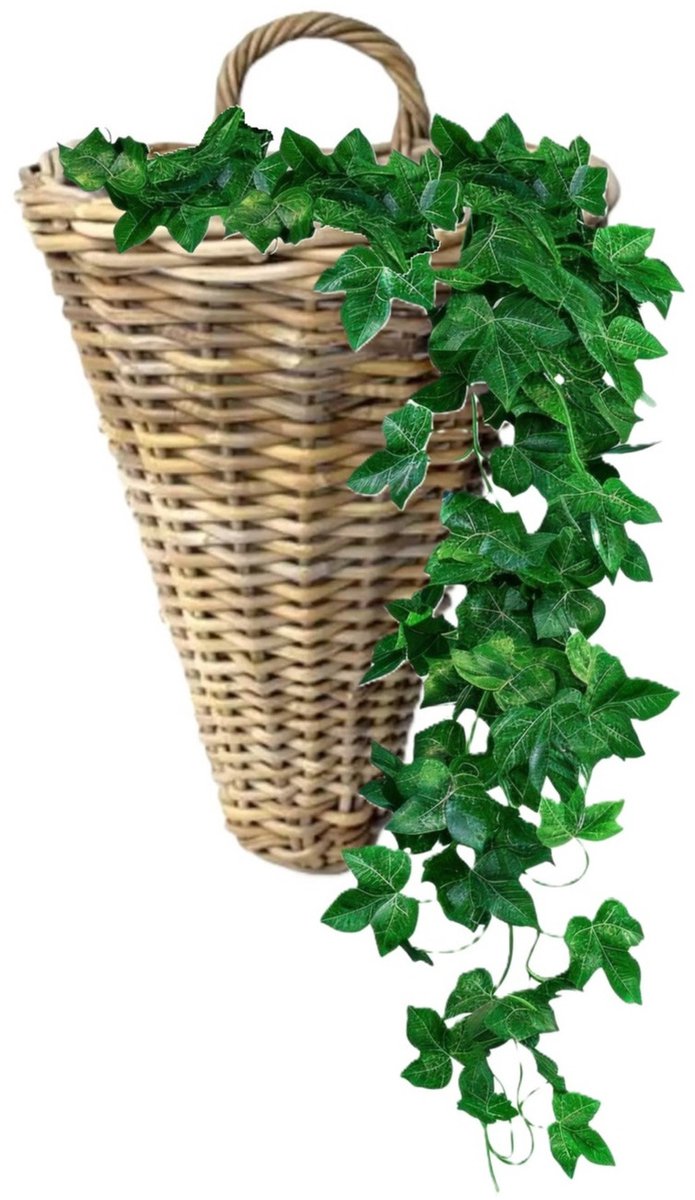 Van der Leeden Wandhanger mand - bruin - 30 x 26 x 37 cm - rotan gevlochten - voor bloemen/planten - bloempot/plantenpot