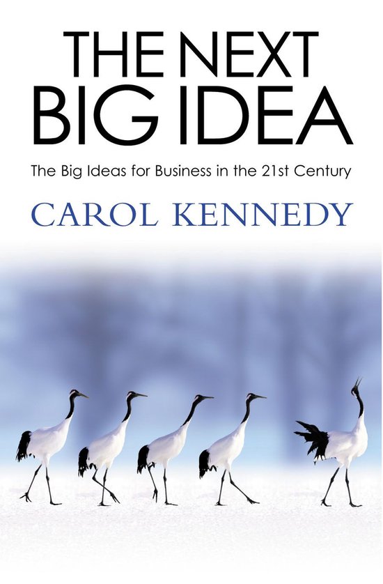 The Next Big Idea - cover