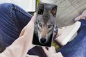 PDP.ProductImage.Thumb.Image.srtText 7