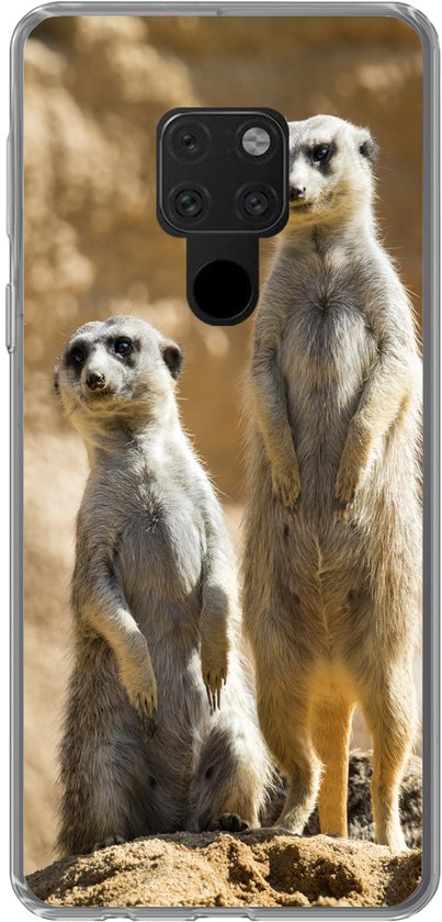 Coque de téléphone compatible avec Huawei P40 Lite - Rocher - Suricates - Animaux - Coque en Siliconen