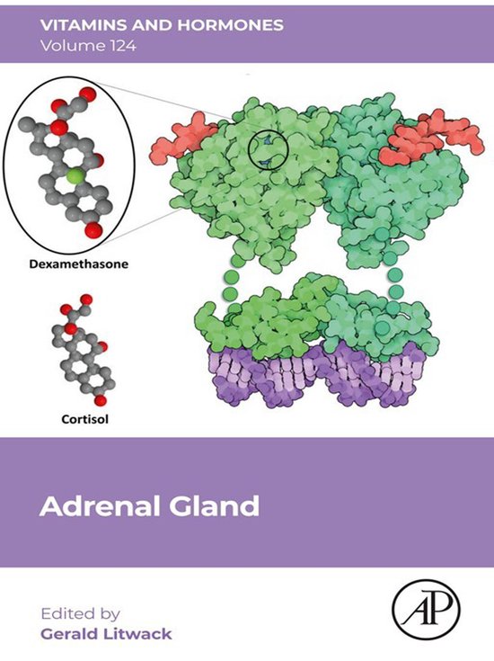 Vitamins and Hormones 124 - Adrenal Gland - cover