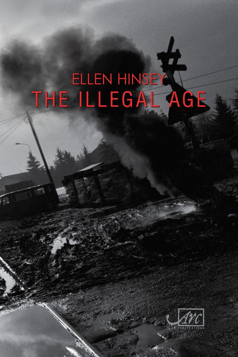 The Illegal Age van Ellen Hinsey