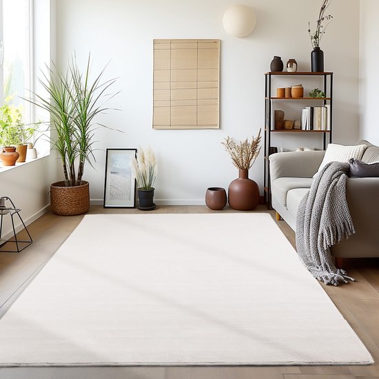 Een crèmekleurig, laagpolig vloerkleed in een woonkamer met een bank, planten en een bijzettafel.