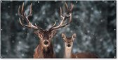 Schuttingposter Hert - Dieren - Winter - Gewei - Sneeuw - Natuur - 200x100 cm - Tuindoek