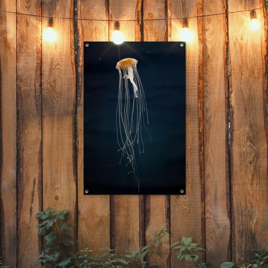 Méduse sur fond sombre affiche de jardin toile en vrac 60x90 cm - Toile de jardin / Toile d'extérieur / Peintures pour l'extérieur (décoration de jardin)