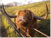 Affiche de jardin Scottish Highlander - Clôture - Herbe - 130x90 cm - Décoration murale extérieure - Affiche de jardin - Toile de jardin - Affiche de clôture - Peinture de jardin