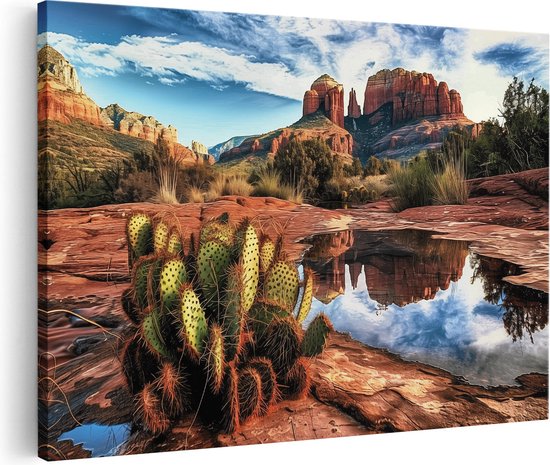 Artaza Canvas Schilderij Cactusplant Wordt Weerspiegeld in een Vijver in Sedona, Arizona - 30x20 - Klein - Foto Op Canvas - Canvas Print