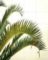IXXI Naples Green - Wanddecoratie - Fotografie - 80 x 100 cm