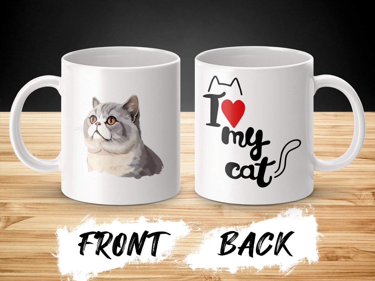 Mok Exotic Shorthair cat - kat - I love my cat - cat lovers - katten