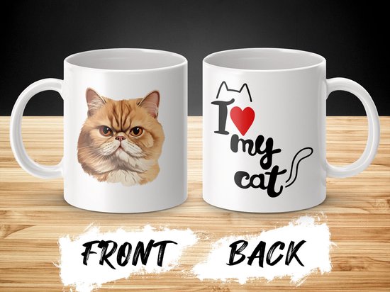 Mok Exotic Shorthair cat - kat - I love my cat - cat lovers - katten