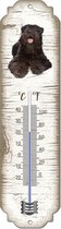 Thermometer: Bouvier | Hondenras | Temperatuur binnen en buiten | -25 tot +45C