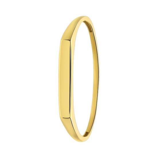Lucardi Dames 14 karaat geelgouden ring met bar - Ring - 14 Karaat Goud - Geelgoud - 17.50 / 55 mm