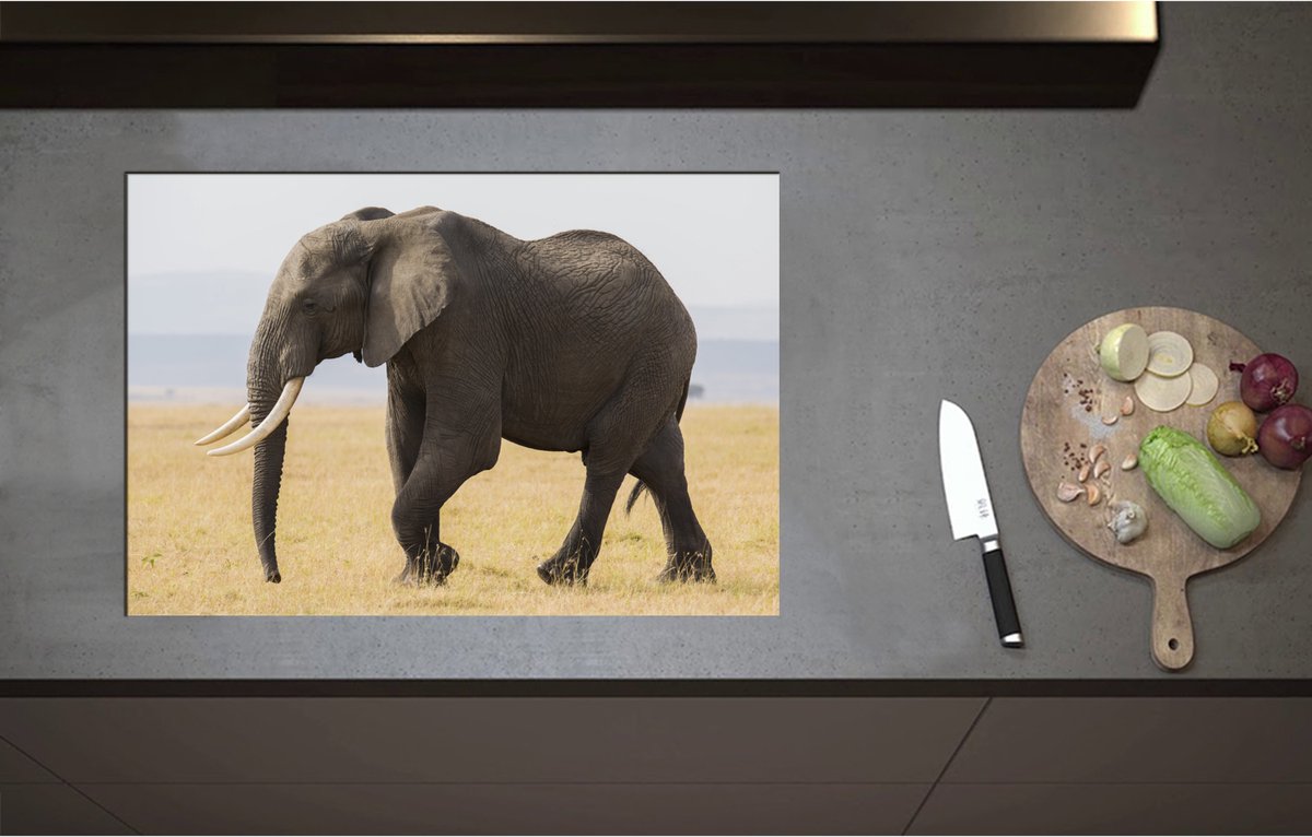 Inductieplaat Beschermer - Afrikaanse Olifant - 75x51 cm - 2 mm Dik - Inductie Beschermer - Bescherming Inductiekookplaat - Kookplaat Beschermer van Wit Vinyl