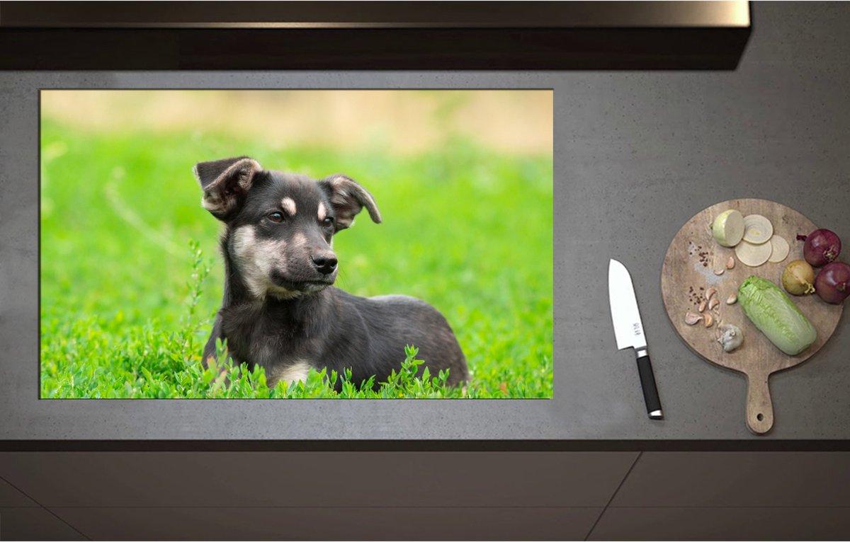Inductieplaat Beschermer - Aandoenlijke Zwart met Bruine Puppy liggend in het Grasveld - 90x55 cm - 2 mm Dik - Inductie Beschermer - Bescherming Inductiekookplaat - Kookplaat Beschermer van Wit Vinyl