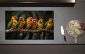 Inductieplaat Beschermer - Ara papegaaien zitten op een rijtje langs elkaar op een tak - 85x52 cm - 2 mm Dik - Inductie Beschermer - Bescherming Inductiekookplaat - Kookplaat Beschermer van Wit Vinyl