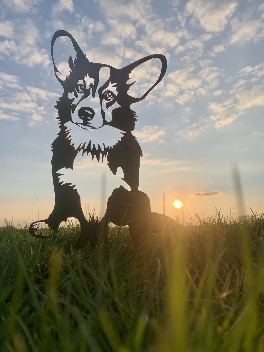 Metalen Hond - De Corgi - Wanddecoratie van metaal