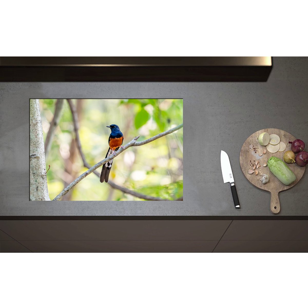 Inductieplaat Beschermer - Blauw met Oranje Shamalijster Vogel zittend op Kleine Tak van Boom - 75x50 cm - 2 mm Dik - Inductie Beschermer - Bescherming Inductiekookplaat - Kookplaat Beschermer van Zwart Vinyl