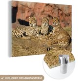 MuchoWow® Glasschilderij 120x80 cm - Schilderij acrylglas - Cheetah moeder en welpen - Foto op glas - Schilderijen