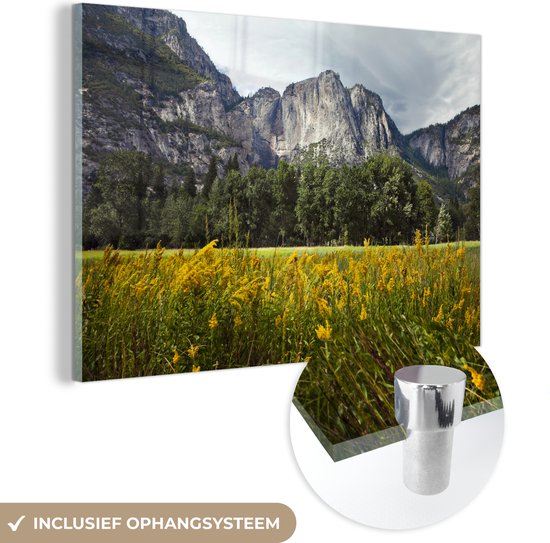 Een met bloemen gevulde weide in het Nationaal park Yosemite in de VS Plexiglas - Foto print op Glas (Plexiglas wanddecoratie)