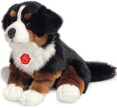 Hermann Teddy Bouvier Bernois 928713