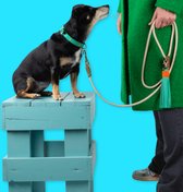 DWAM Dog with a Mission Hondenriem – Riem voor honden – Beige – Polyester/Leer – L – 155 x 1.4 cm – Sand