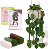 crochet pour débutants - paquet de crochet ensemble de plantes mignonnes - crochet pour débutants - paquet de démarrage au crochet