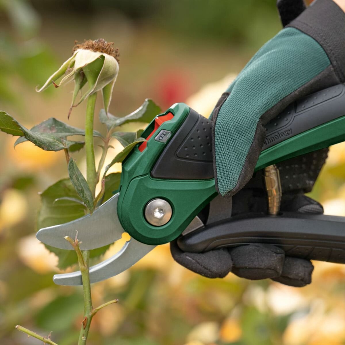 Bosch EasyPrune Accu snoeischaar - Met 3.6 V accu en USB lader