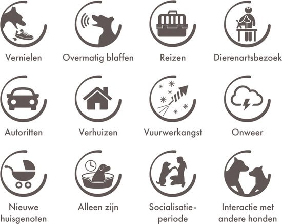 Beaphar CaniComfort® Kalmerende spray 60ml