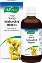A.Vogel Solidago druppels - Bevat Solidago en Betula: goed voor de nier- en blaasfunctie* - 100 ml