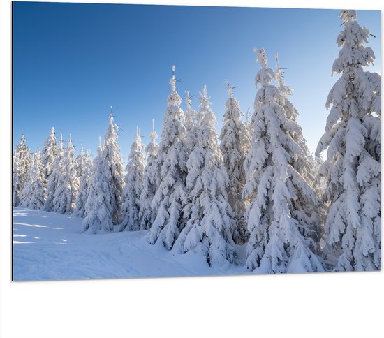 Dibond - Sneeuw - Bomen - Bos - Landschap - 100x75 cm Foto op Aluminium (Met Ophangsysteem)