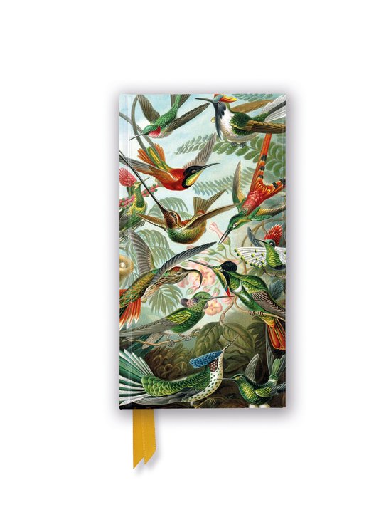 Flame Tree Slimline Journals- Ernst Haeckel: Hummingbirds (Foiled Slimline Journal)