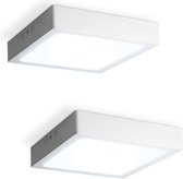 Set van 2 Carolina opbouwspots vierkant - 12 Watt 1160 Lumen - Wit - 6500K daglicht wit - LED downlight - IP20 stofdicht - 160mm