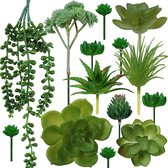 14 stuks vetplanten, kleine groene vetplanten voor decoratie, woonkamer, badkamer, kantoor, decoratie (zonder potten)