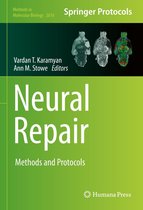 Methods in Molecular Biology 2616 - Neural Repair