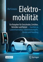 Elektromobilität - Ein Ratgeber Für Entscheider, Errichter, Betreiber Und Nutzer: Facetten Zu Ladeinfrastruktur, Subventionsregeln, Kosten Und Handlin