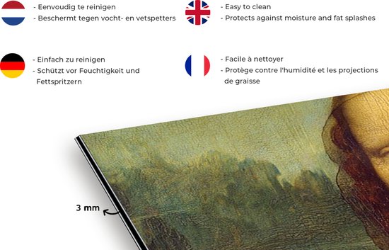 Spatscherm keuken 60x40 cm - Kookplaat achterwand Mona Lisa - Quote - Da Vinci - Muurbeschermer - Spatwand fornuis - Hoogwaardig aluminium