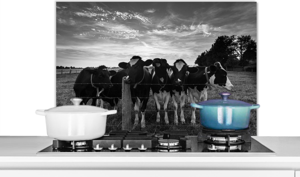 KitchenYeah - Spatscherm keuken - Koeien - Dieren - Boerderij - Keuken - Zwart - Wit - Muurdecoratie - Spatwand - 90x60 cm