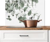 Spatscherm keuken 80x55 cm - Kookplaat achterwand Eucalyptus - Bladeren - Natuur - Groen - Muurbeschermer - Spatwand fornuis - Hoogwaardig aluminium