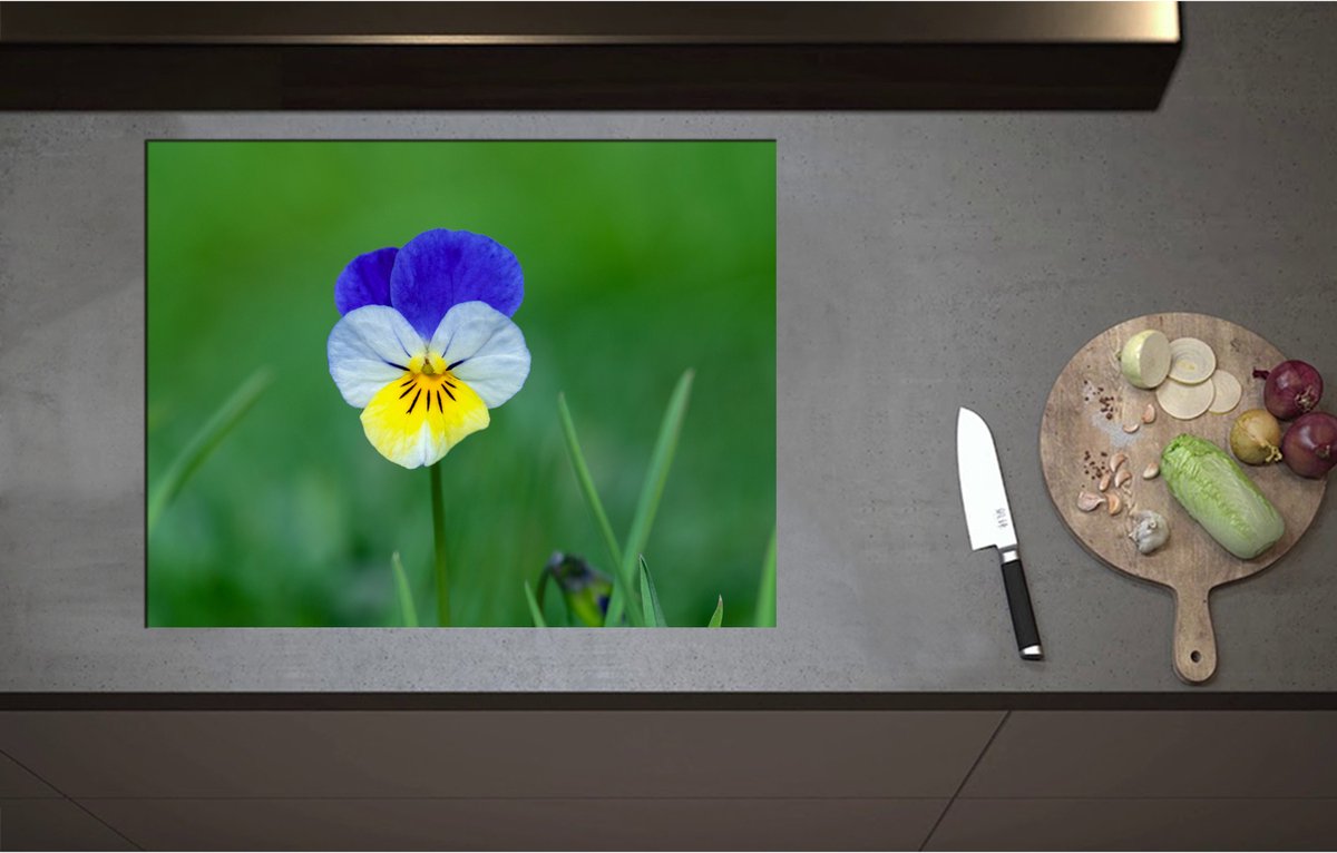 Inductieplaat Beschermer - Blauw met Gele Tuinviool in Grasveld - Bloemen - 71x55 cm - 2 mm Dik - Inductie Beschermer - Bescherming Inductiekookplaat - Kookplaat Beschermer van Wit Vinyl