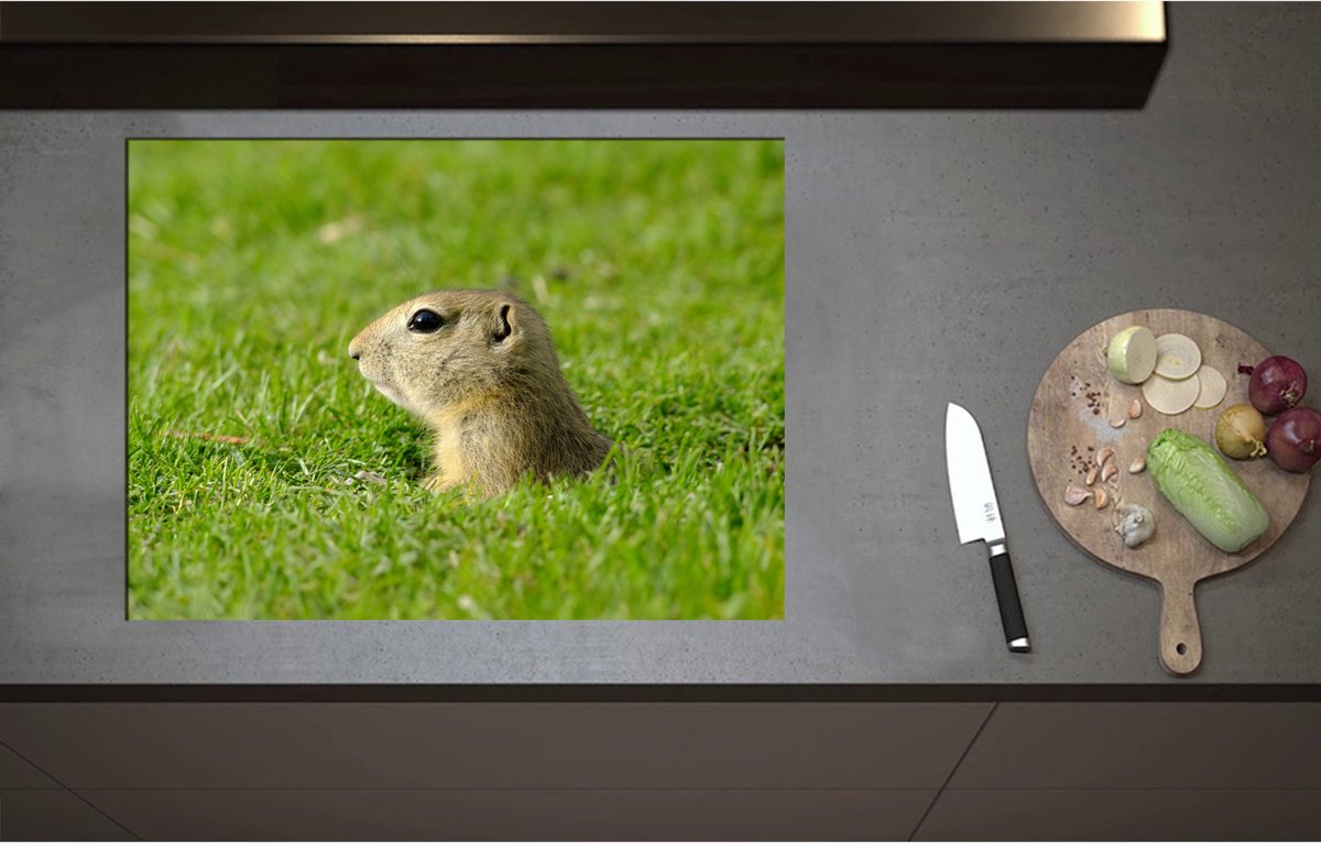 Inductieplaat Beschermer - Baby Goffer Komt uit de Grond - 75x55 cm - 2 mm Dik - Inductie Beschermer - Bescherming Inductiekookplaat - Kookplaat Beschermer van Wit Vinyl