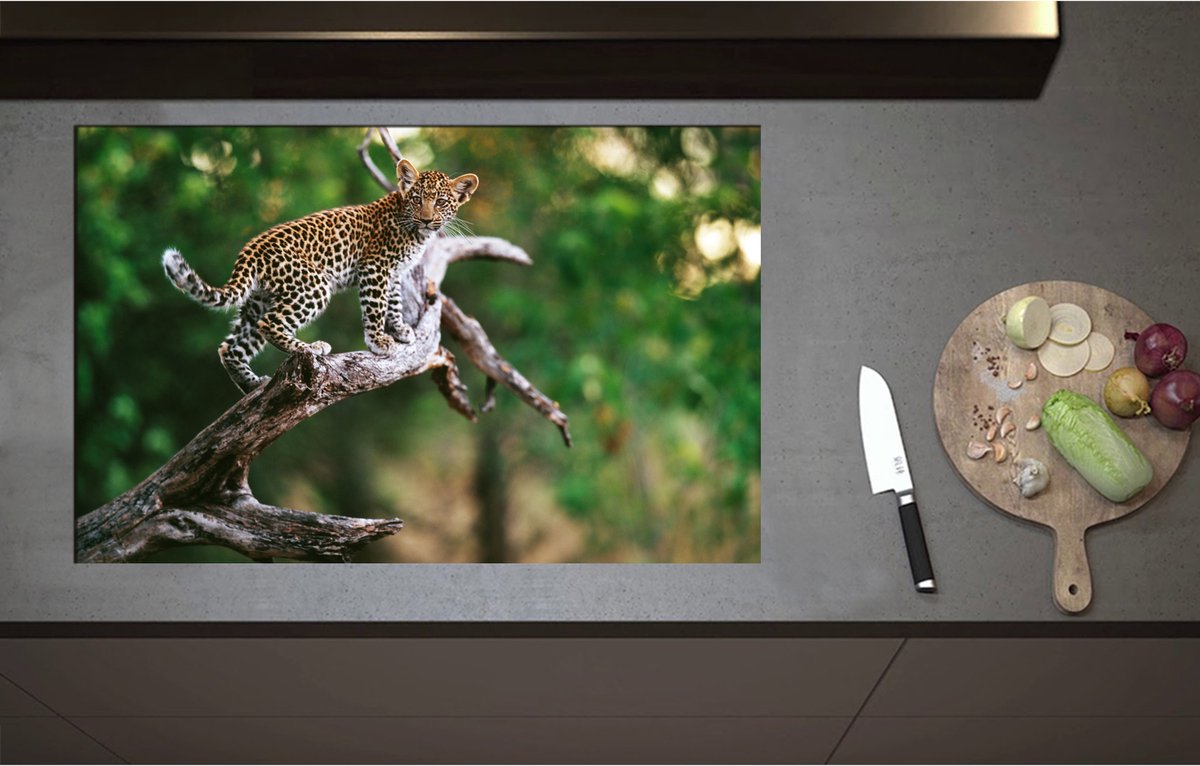 Inductieplaat Beschermer - Baby Luipaard lopend over Smalle Tak in het Bos - 85x55 cm - 2 mm Dik - Inductie Beschermer - Bescherming Inductiekookplaat - Kookplaat Beschermer van Zwart Vinyl