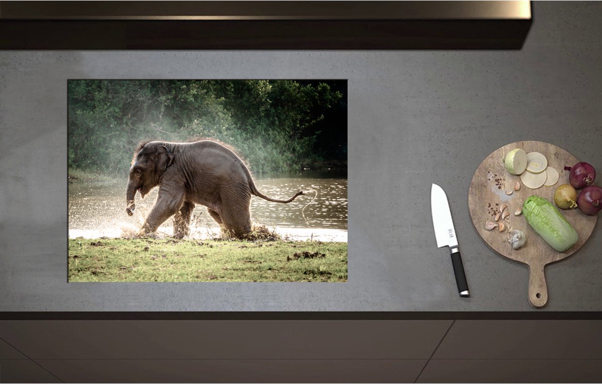 Inductieplaat Beschermer - Baby Olifant Spelend in Meer in Regenwoud - 70x51 cm - 2 mm Dik - Inductie Beschermer - Bescherming Inductiekookplaat - Kookplaat Beschermer van Wit Vinyl