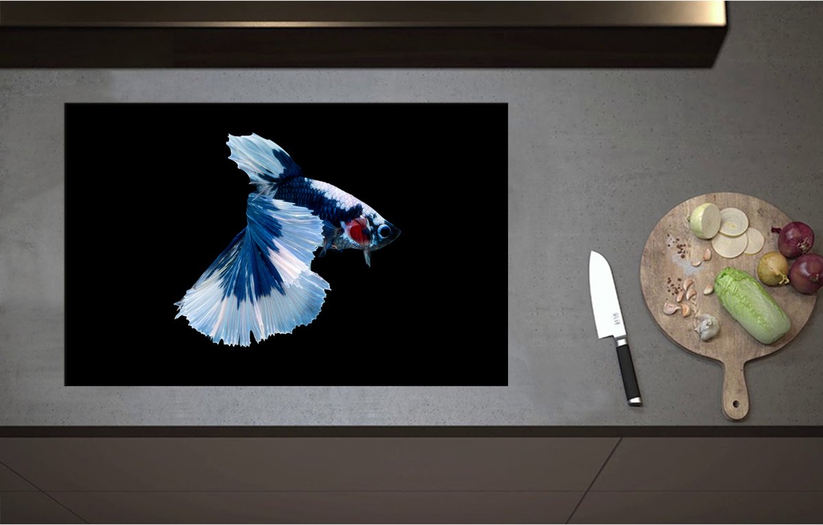 Inductieplaat Beschermer - Blauw Gevlekte Siamese Kempvis tegen Zwarte Achtergrond - 80x52 cm - 2 mm Dik - Inductie Beschermer - Bescherming Inductiekookplaat - Kookplaat Beschermer van Zwart Vinyl